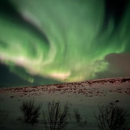 Leilighet I Vadsø Exteriér fotografie